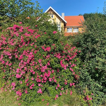 Neulandhof Spoering Apartment Walsrode Exterior photo